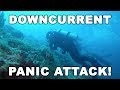 We Got Caught in a Downcurrent - PANIC (Sipadan, Island) | Diving Malaysia | MayenTV