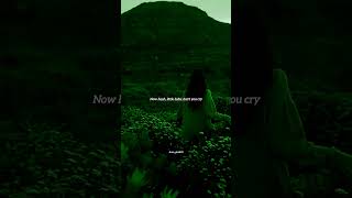 Mockingbird - Eminem Trending Tiktok Song Short Slowed & Reverb Sad Lyrics