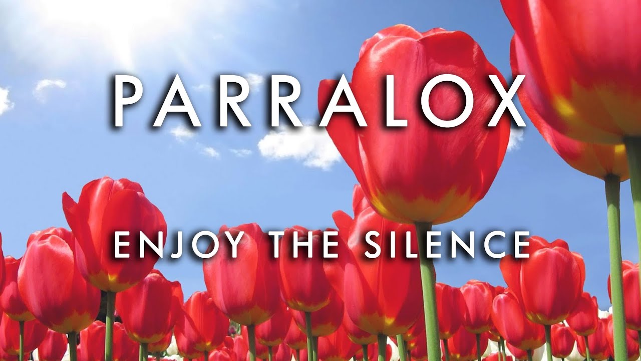 DEPECHE MODE ENJOY THE SILENCE YOU TOBE depeche mode enjoy the silence you tobe: