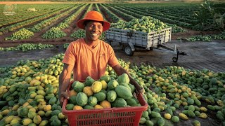 How Thai Farmers Grow And Harvest Millions Of Papaya Each Year Agriculture Technology