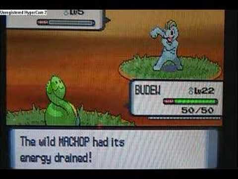 the best pokemon pearl ar codes