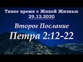 2-е Петра 2:12–22 (29.12.2020) 2-е Петра 2:12–22 (29.12.2020)