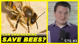 Scientists Engineer Solution for Saving Bees: The Role of Intelligent Design | CTS E3