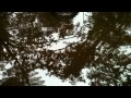 Pond Rain (River of Dreams)