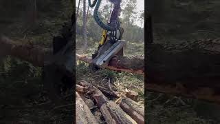 John Deere 1270G Harvester Cutting Trees At Awesome Speed #Johndeere #Harvester #Farming #Viral
