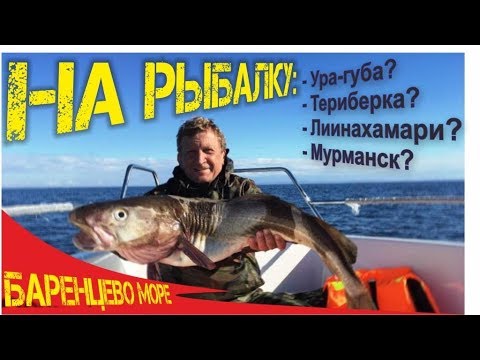 Отливы и приливы на ура губа Отливы и приливы на ура губа