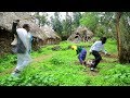 Taammiraat Katamaa: Siif Jecha * NEW * 2017 Oromo Music