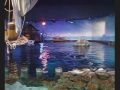 sealife