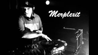 Onerepublic - Counting Stars Merplexit Bootleg