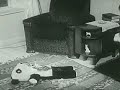 Burning Boy sets FIRE to Panda Bear.  CHECK YOUR SMOKE DETECTORS NOW!