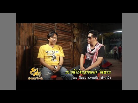 รอยลายไก่ชน ประวัติไก่ชนสายพม่า-ไต้หวัน เสี่ยบอย ส.รวมชัย