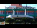 iibi