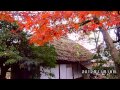 箱根・強羅公園（白雲洞）の紅葉見ごろ