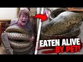 These 3 Pets Ate Their Owners ALVE In Front of EVERYONE!