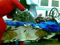 Girls Hostels In College