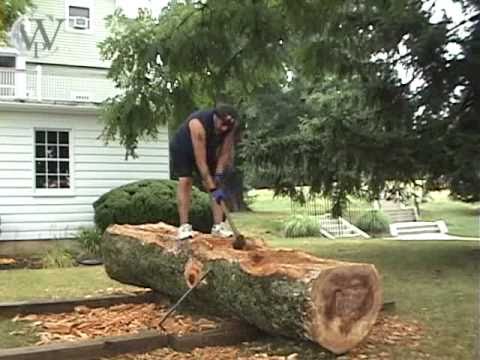 The Dugout Canoe Project Part 1 of 4 - YouTube