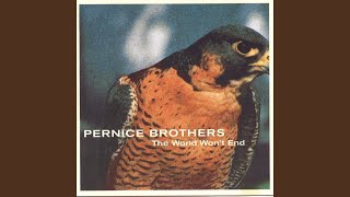 Watch Pernice Brothers The Ballad Of Bjorn Borg video