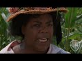 The Color Purple Fight My Whole Life