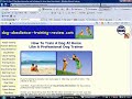Article Ideas Software - Get Tons of Ideas for Writing New Articles.