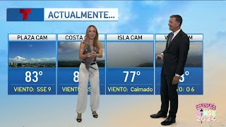 Gato Pone A Correr A Alexandra En Pleno Programa