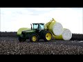 cotton