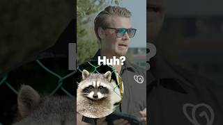 Watch This Godaddy Ai Create The Perfect Business Logo