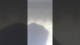 To Get Splits In One Day Subscribe