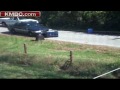 Raw Video: Chimp 'Sue' Smashes Police Car Windshield