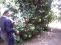 video-2013-09-16-10-08-07.mp4