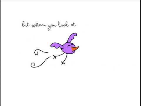 Birds- Kate Nash animation