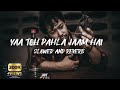 Yaa Toh Phela Jaam Hai [Slowed and Reverb] || TikTok Viral Song 2023 || Raat Bhar Jaam Se 🍷