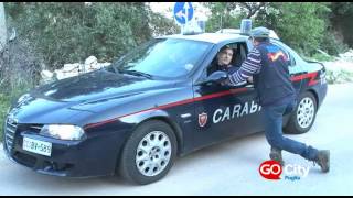 Babbuino scappa dallo zoo