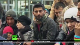 «Альтернатива для Германии»: Мы готовы помогать беженцам, но нелегалов нужно депортировать