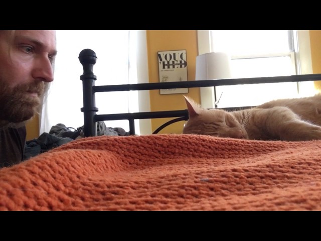 Man Gets Back At Cat By Waking Her With A Loud MEOW - Video
