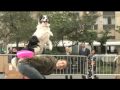 SuperFetch va al Madison Square Park