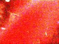 Meryll live @ Porcupine Pub (2009)