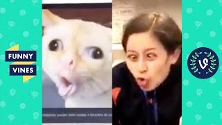 TRY NOT TO LAUGH - Funny Videos From Around The Internet!