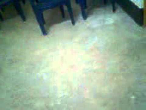CòØl Bøy Chalo Chale Mitwa MP3