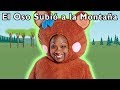 El Oso Subió a la Montaña + Más | Mother Goose Club en Español