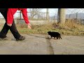 37 дней))