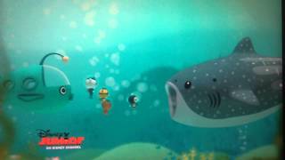Whale Shark Burp