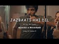 Jazbaati Hai Dil | #slowedandreverb #lofisong | Vidya B, Ileana D Cruz | Do aur Do Pyaar | New Song