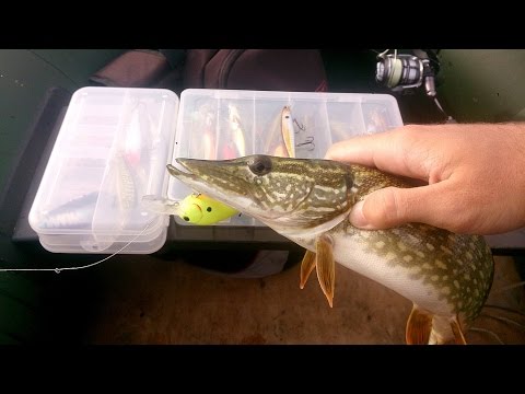 рыбалка видео на воблеры кренки видео рыбалка видео на воблеры кренки видео