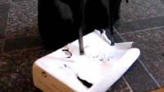 Spikes Heels Crush
