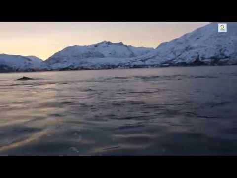 рыбалка хохмач тим рыбалка хохмач тим