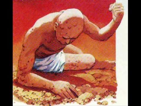the suffering portrayed in the book of job 'proverbs' is a bible book compiled by king solomon and is is a collection of many wise sayings and axioms -see proverbs 1:1-6 'job', on the other hand, is the life story of the godly man job. the suffering portrayed in the book of job 'proverbs' is a bible book compiled by king solomon and is is a collection of many wise sayings and axioms -see proverbs 1:1-6 'job', on the other hand, is the life story of the godly man job.
