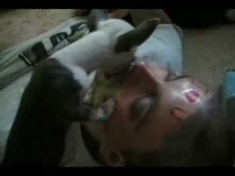 dogdrunk 027 Dog Licks a drunk guy See more at wwwThatsPhuckedcom