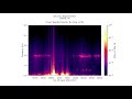 2MIN News Apr6: MAJOR UPDATES! Gas Leak, Alaska Animals, Spaceweather