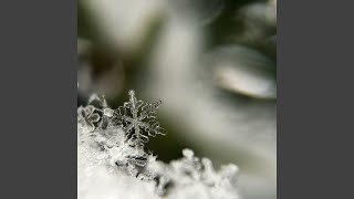 Crystal Love