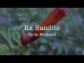 Rx-Bandits Up to No Good